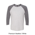 Next Level Apparel Unisex 3/4 Sleeve Triblend Raglan Tee